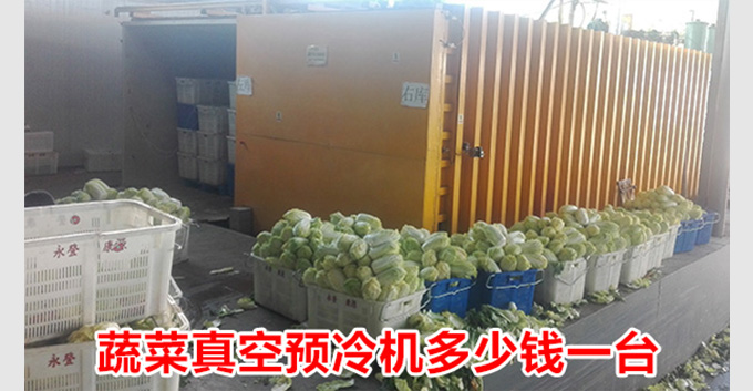 蔬菜真空预冷机多少钱一台,真空预冷机的价格