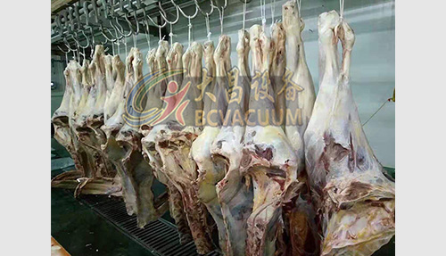 解冻设备扬州某大型食品加工厂安装