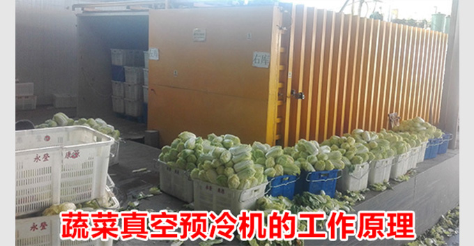 蔬菜真空预冷机的工作原理,真空预冷机功能特点