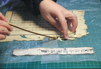 Insect infested historical manuscripts and books Insect infested historical manuscripts and books