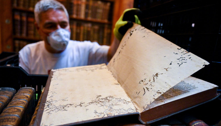 Case Study: Rescuing Infested Archives with Vacuum Nitrogen Treatment