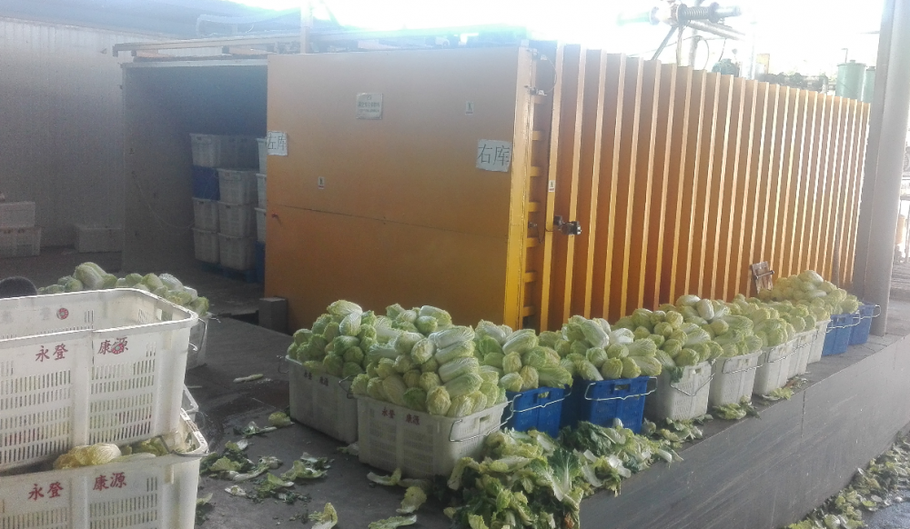 The vacuum pre-cooler successfully installed and in active operation, processing large batches of freshly harvested cabbages. The vacuum pre-cooler successfully installed and in active operation, processing large batches of freshly harvested cabbages.