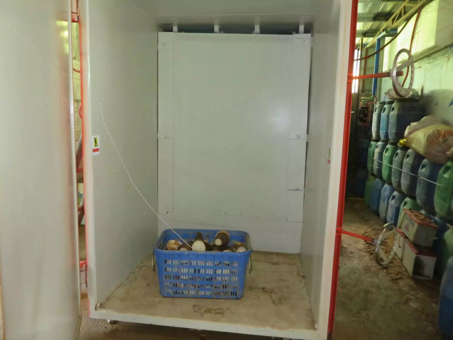 Freshly harvested bamboo shoots loaded into the spacious vacuum chamber, prepared for the rapid pressure-drop cooling cycle. Freshly harvested bamboo shoots loaded into the spacious vacuum chamber, prepared for the rapid pressure-drop cooling cycle.