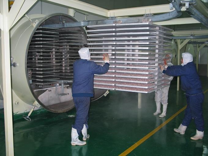 industrial freeze dryer process