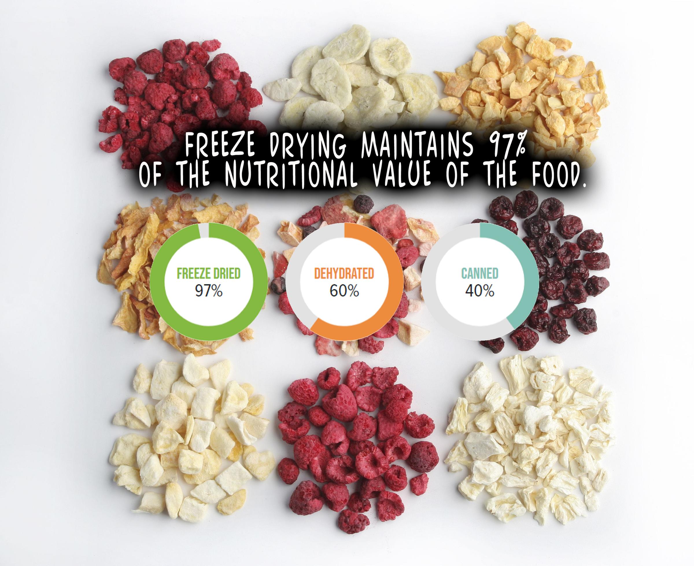 Freeze dried fruit vs dehydrated fruit